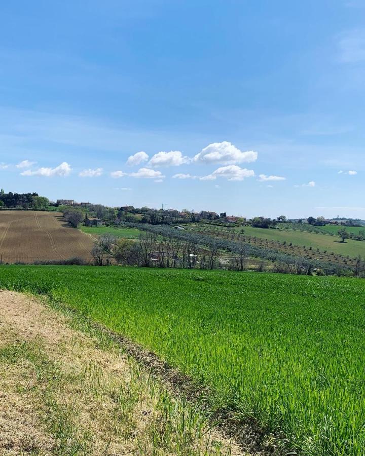 Brezza Affittacamere Montemarciano Bagian luar foto